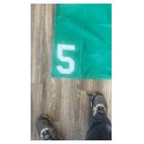 #5 horse blanket