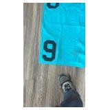#9 horse blanket