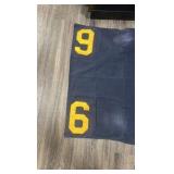 #6 horse blanket