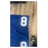 #8 horse blanket