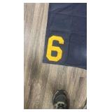 #6 horse blanket