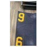 #6 horse blanket