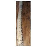 8x10 ivory black area rug