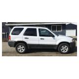 2007 Ford Escape XLT FWD