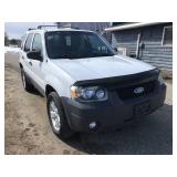 2007 Ford Escape XLT FWD