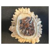 Sunburst Fossil Fragments in Beige Sandstone Inc Moose Picture Buckle, Unknown Tooth & Moose Antler