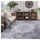 Area Rug 5