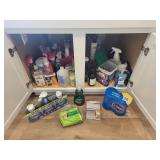 Cleaning Supplies as Seen in Photos