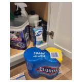 Cleaning Supplies as Seen in Photos