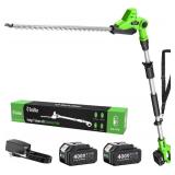 TaskStar Cordless Pole Hedge Trimmer