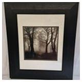 Harald Scherer Style Forest Landscape Print Framed Foggy Trees Path