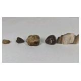 Mixed Stone and Petrified Wood Lot