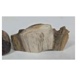 Mixed Stone and Petrified Wood Lot