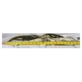 Decorative Hanging Fish Stringer
