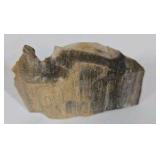 Mixed Stone and Petrified Wood Lot
