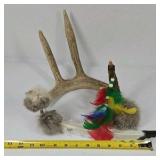 Decorative Antler Piece with Fur and Feather Accents