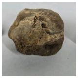 Mixed Stone and Petrified Wood Lot