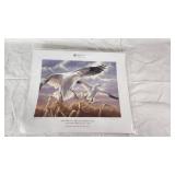 Flint Hills Resources 2008 Minnesota Migratory Waterfowl Stamp Print by Sara Stack featuring snow geese, numbered 387/5000