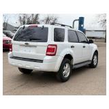 2009 FORD ESCAPE XLT *No Accidents Reported* (NO RESERVE)