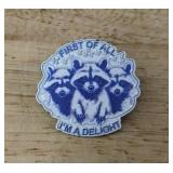 Raccoon First of All I