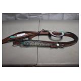 Bridle and rein set