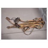 Bridle and Rein set with Bit