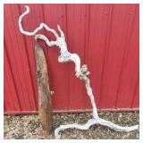 Natural Driftwood Branch Pieces Rustic Decor Craft Wood Lot