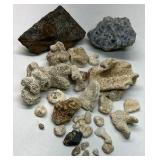 Natural Coral Specimens Lot of 20+ Ocean Coral Pieces Mixed Stone Rock Collection