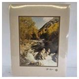 Art Gore Signed Photograph Mountain Stream Landscape Framed Print Colorado