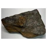 Natural Coral Specimens Lot of 20+ Ocean Coral Pieces Mixed Stone Rock Collection