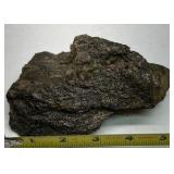 Natural Coral Specimens Lot of 20+ Ocean Coral Pieces Mixed Stone Rock Collection