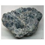 Natural Coral Specimens Lot of 20+ Ocean Coral Pieces Mixed Stone Rock Collection