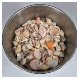 Stainless Steel Ice Bucket Seashell Fill Metal Beverage Chiller Double Handle Barware