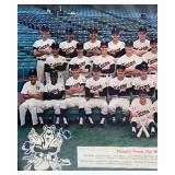 1985 Minnesota Twins Team Photo Framed Baseball American League Champions