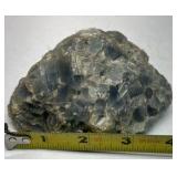 Natural Coral Specimens Lot of 20+ Ocean Coral Pieces Mixed Stone Rock Collection