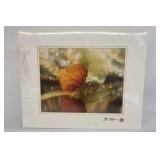 Art Gore Signed Photograph Lot Kitchen Still Life Floral Interior Framed Prints Colorado