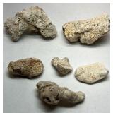 Natural Coral Specimens Lot of 20+ Ocean Coral Pieces Mixed Stone Rock Collection