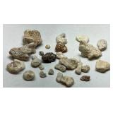 Natural Coral Specimens Lot of 20+ Ocean Coral Pieces Mixed Stone Rock Collection