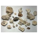 Natural Coral Specimens Lot of 20+ Ocean Coral Pieces Mixed Stone Rock Collection