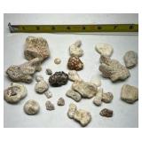 Natural Coral Specimens Lot of 20+ Ocean Coral Pieces Mixed Stone Rock Collection