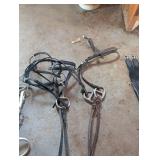 Horse Tack Lot - Bridles, Reins, Halters, Bits, Stirrup Leathers