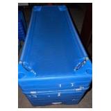 Blue cots (10)