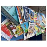 tote of books  (80)