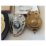 Badges