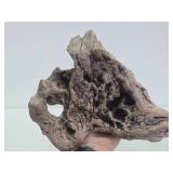 Antique Carved Burmese / Indonesian Dragon Brid