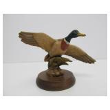 Group of ANRI Birds - Ducks & Pheasant