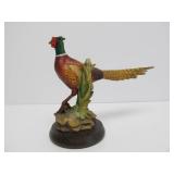 Group of ANRI Birds - Ducks & Pheasant