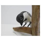 Great Group of Hand Carved & Painted Folk Art Birds