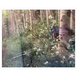 Aspen - Bighorn Creek Trail Above Vail, Colorado - Framed Print