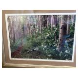 Aspen - Bighorn Creek Trail Above Vail, Colorado - Framed Print